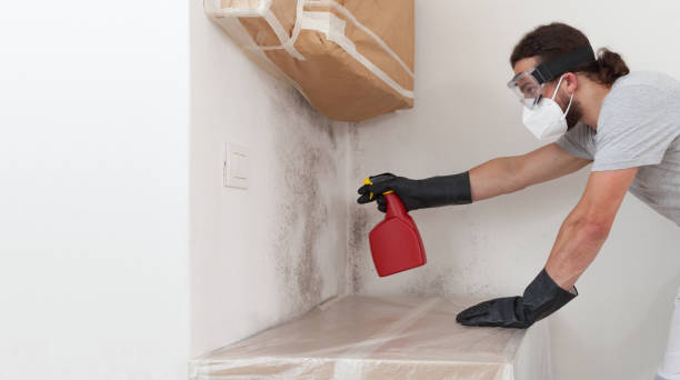 Attic Mold Remediation treatment on roof deck in Glenville